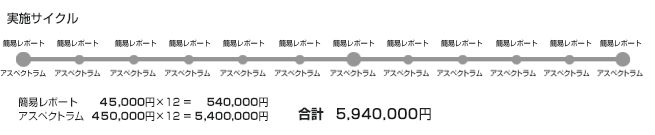 アスペクトラム+簡易エクセルレポートの実施サイクル