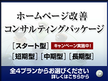 ホームページ改善コンサルティングパッケージ