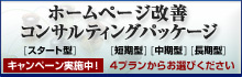 ホームページ改善コンサルティングパッケージ