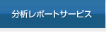 分析レポートサービス