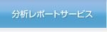 分析レポートサービス
