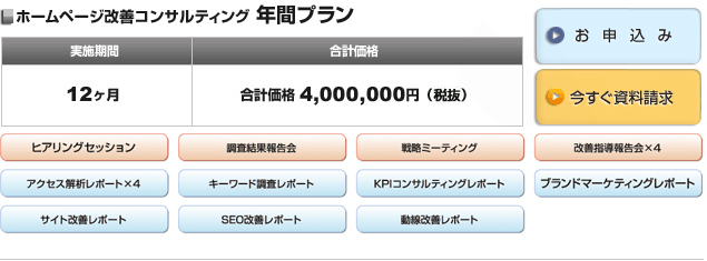 ■ホームページ改善コンサルティング 年間プラン