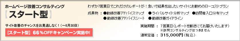 ホームページ改善コンサルティング【スタート型】