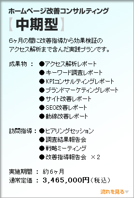 ホームページ改善コンサルティング【中期型】