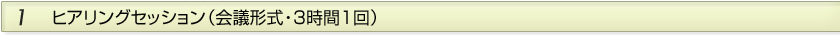 １　ヒアリングセッション（会議形式・3時間1回）
