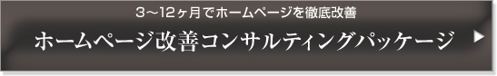 3～12ヶ月でホームページを徹底改善　ホームページ改善コンサルティングパッケージ