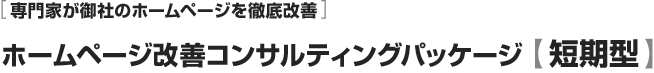 ホームページ改善コンサルティングパッケージ　短期型