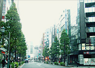 東京本社からすぐの小滝橋通り