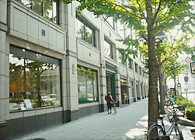 大阪支店ビル前の銀杏並木